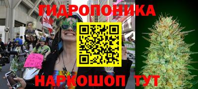 гашик Добрянка