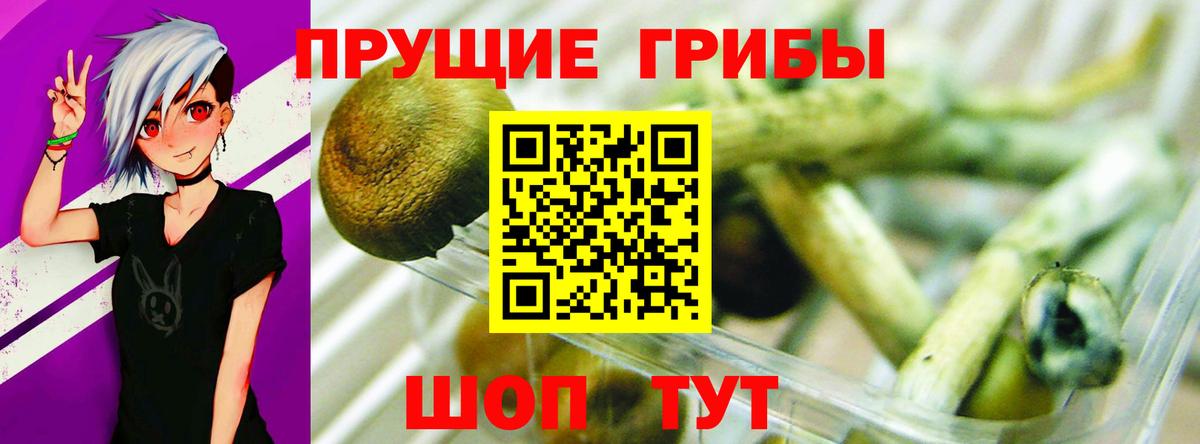 хочу   Вход с VPN  Златоуст  Галлюциногенные грибы прущие грибы 